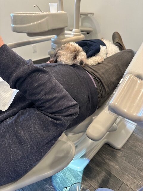 a child learning how to brush teeth